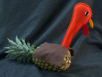 Pineapple turkey craft